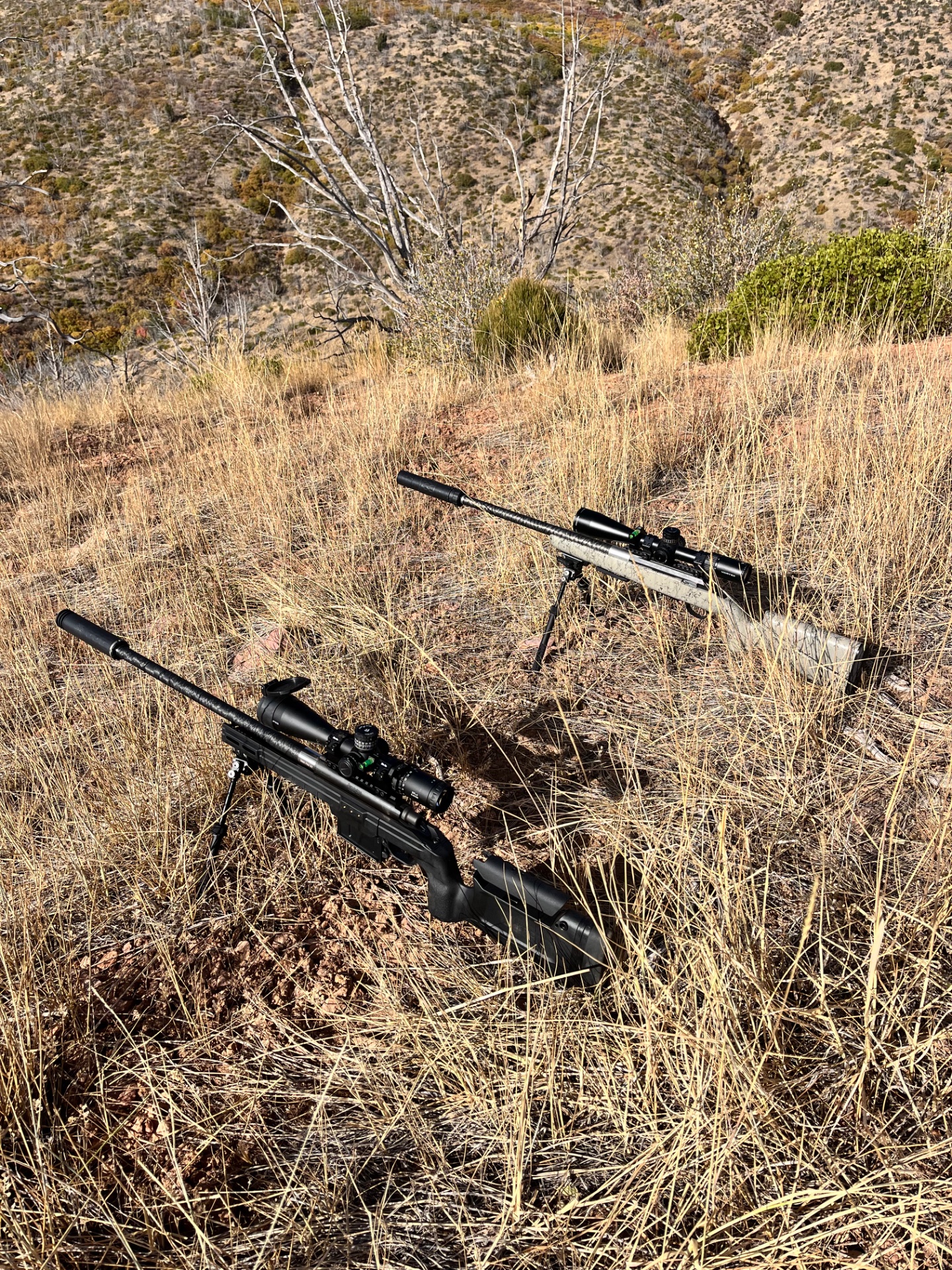 My gun on top. 7mm SAUM shooting 162 ELDMs @ 2750 and Brads 7 PRC shooting 180 ELDMs @ 2815 FPS. I shot first and Brad who also had a tag was follow up. In case I missed it.